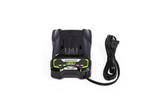 Load image into Gallery viewer, CAM803 48V/24V Dual-Volt Charger