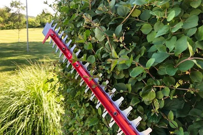HEDGE TRIMMERS