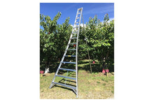 Load image into Gallery viewer, 14&#39; ORCHARD LADDER
