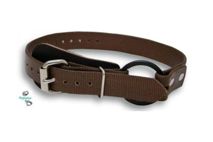 BUCK-21391